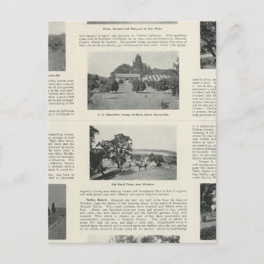 Windsor, Californië Briefkaart (Voorkant)