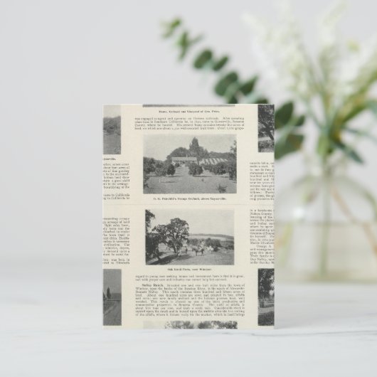 Windsor, Californië Briefkaart (Staand voorkant)