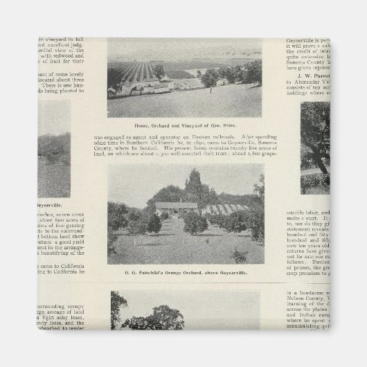 Windsor, Californië Magneet (Voorkant)