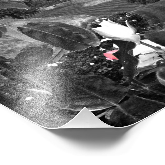 Windsor Castle Berkshire Engeland Foto Afdruk (Hoek)