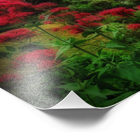 Windsor Castle Berkshire Engeland Foto Afdruk (Hoek)