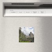 Windsor Castle in Engeland Magneet (Insitu (Vaatwasser))