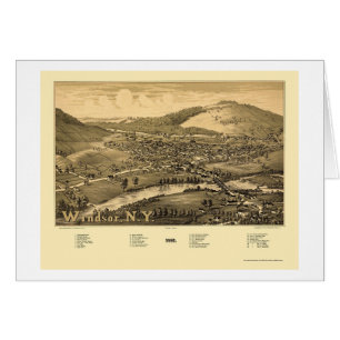 Windsor, NY Panoramic Map - 1887