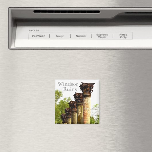 Windsor Ruins Mississippi koelkastmagneet Magneet (Insitu (Vaatwasser))