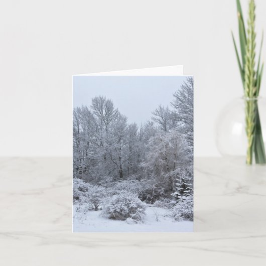 Windsor Winter White Christmas Feestdagen Kaart (Voorkant)