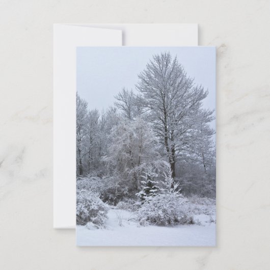 Windsor Winter White Christmas Kaart (Voorkant)