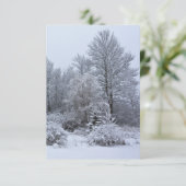 Windsor Winter White Christmas Kaart (Staand voorkant)