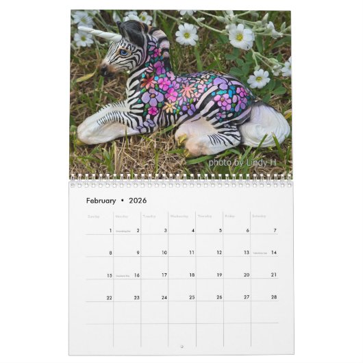 Windstone Editions-kalender Kalender (Feb 2026)