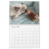 Windstone Editions-kalender Kalender (Jan 2027)