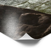 Windsurfen - foto's afdrukken foto afdruk (Hoek)