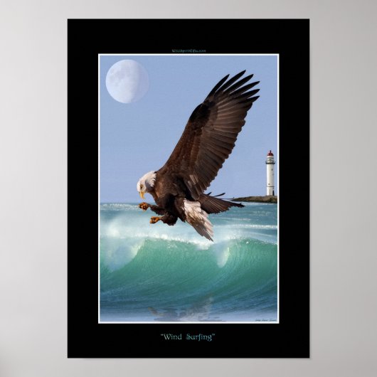 WINDSURFING Bald Eagle Art Poster (Voorkant)