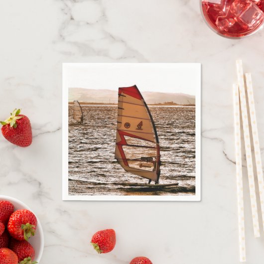 WINDSURFING SERVET (Insitu)