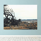 Windswept Boom bij Rotsachtige Kustlijn Canvas Afdruk (Insitu (Houten vloer))