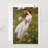 Windswept Briefkaart (Voorkant / Achterkant)