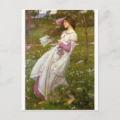 Windswept Briefkaart (Voorkant)