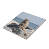 Windswept Cat aan de kant van de zee Tegeltje (Zijkant)