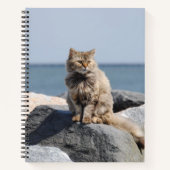 Windswept Cat at Seaside Cute Photo Notitieboek (Voorkant)