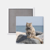 Windswept Cat by the Sea Cute Photo Magneet (Voorkant / Achterkant)