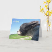 Windswept hond verjaardagskaart kaart (Gele Bloem)