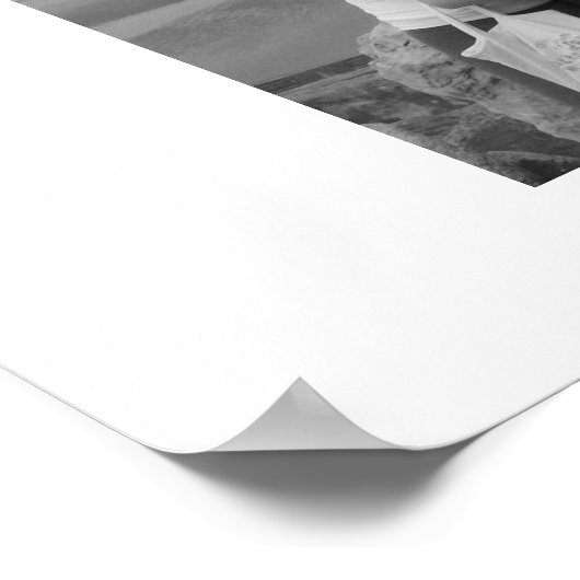 Windswept Poster (Hoek)