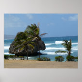 Windswept Poster (Voorkant)