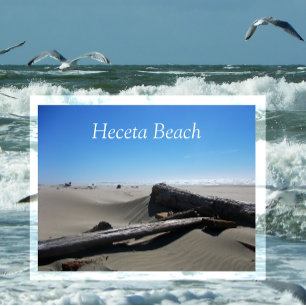 Windswept Zand, Driftwood, Heceta Beach, OF Briefkaart