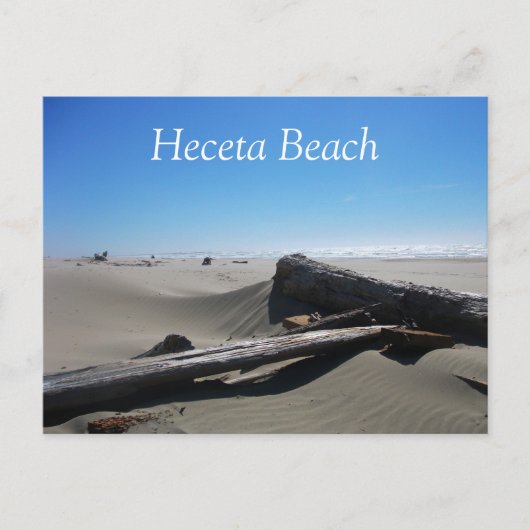 Windswept Zand, Driftwood, Heceta Beach, OF Briefkaart (Voorkant)