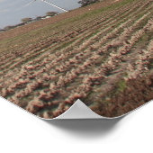 Windturbine Poster (Hoek)