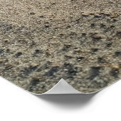 Windvormen en rimpels, rond gladde kieuwen poster (Hoek)