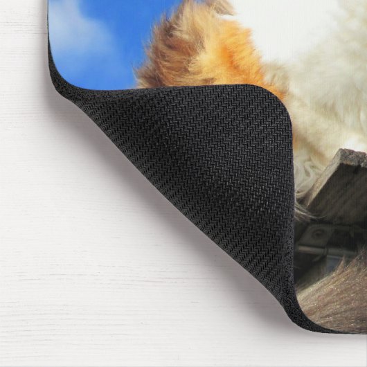 Windy hier muismat (Hoek)