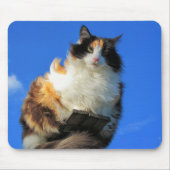 Windy hier muismat (Voorkant)