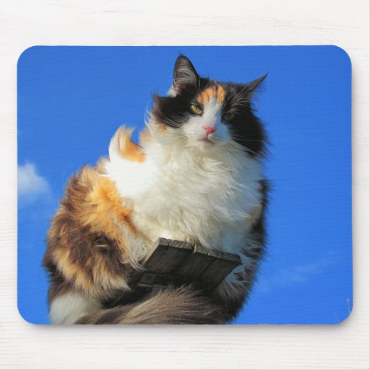 Windy hier muismat (Voorkant)