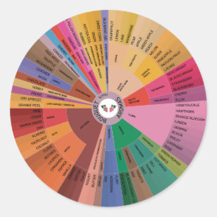 Wine Aroma Wheel Ronde Sticker