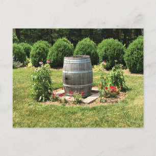 Wine Barrel Garden Decor, Chateau Morrisette, VA Briefkaart