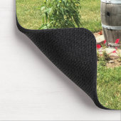 Wine Barrel Garden Decor, Chateau Morrisette, VA Muismat (Hoek)