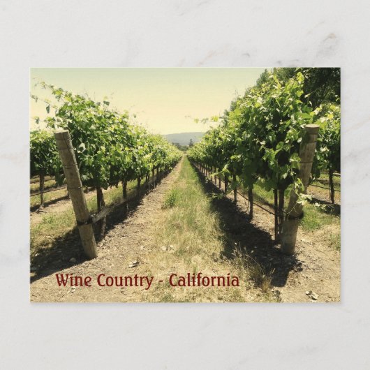 Wine Country Briefkaart! Briefkaart (Voorkant)