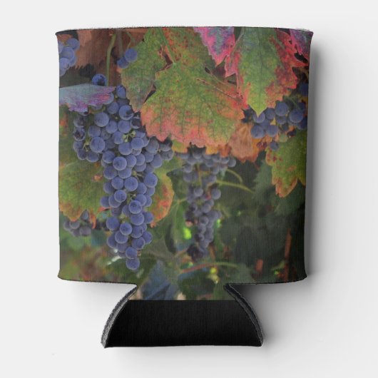 Wine Cozy Koelbox Blikjeskoeler (Voorkant)