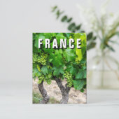 Wine Grapes Growing, Frankrijk Briefkaart (Staand voorkant)