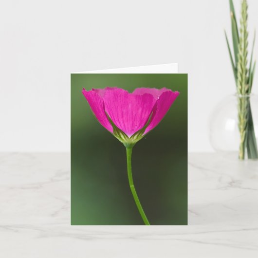 Winecup Wildflower Notecards Kaart (Voorkant)