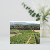 Wineyard in Frankrijk Briefkaart (Staand voorkant)