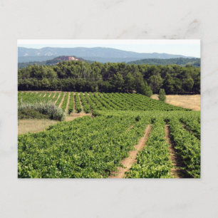 Wineyard in Frankrijk Briefkaart