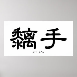 Wing Chun Chi Sau Chinese Calligrafie Poster