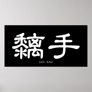 Wing Chun Chi Sau White Chinese Calligrafie Poster