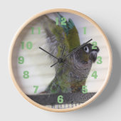 Wing Ding Watch (Voorkant)