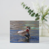 Wing Flapping Wood Duck Briefkaart (Staand voorkant)