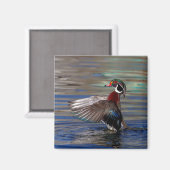 Wing Flapping Wood Duck Magneet (Voorkant / Achterkant)