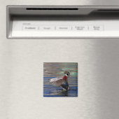 Wing Flapping Wood Duck Magneet (Insitu (Vaatwasser))