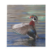 Wing Flapping Wood Duck Notitieblok (Voorkant)