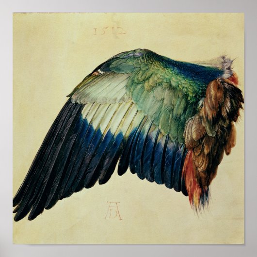 Wing of a Blue Roller, 1512 Poster (Voorkant)