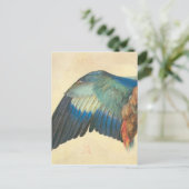 Wing of a Blue Roller by Albrecht Durer Briefkaart (Staand voorkant)